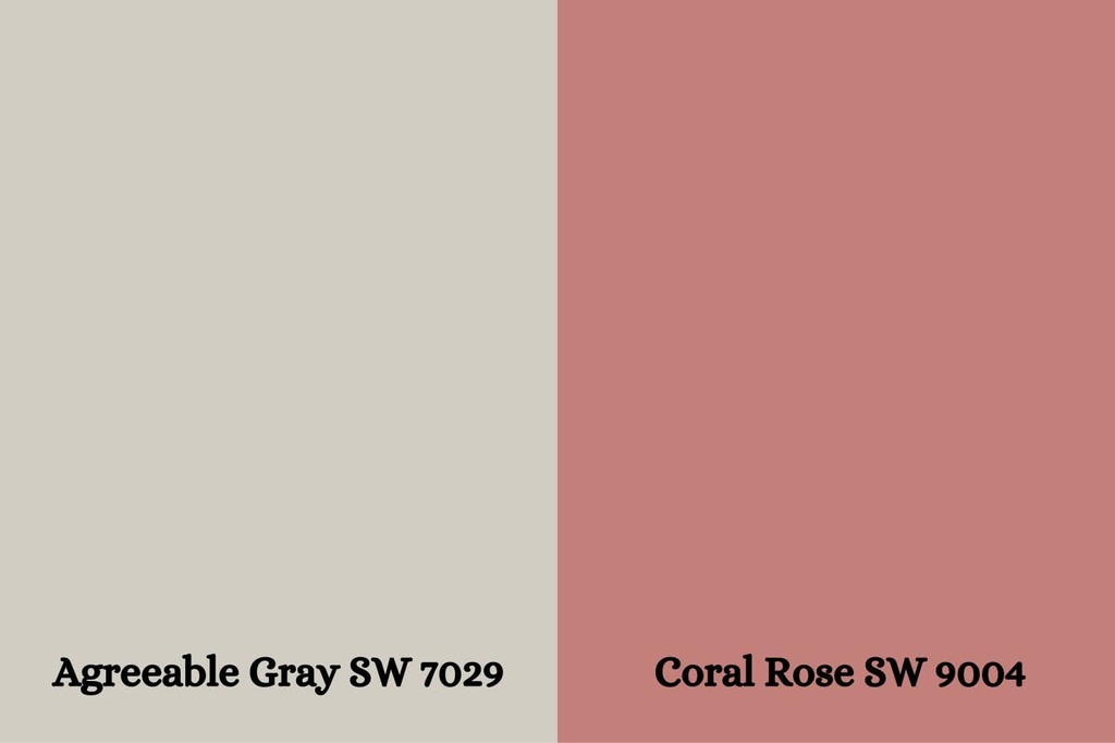 Coral Rose (SW 9004)