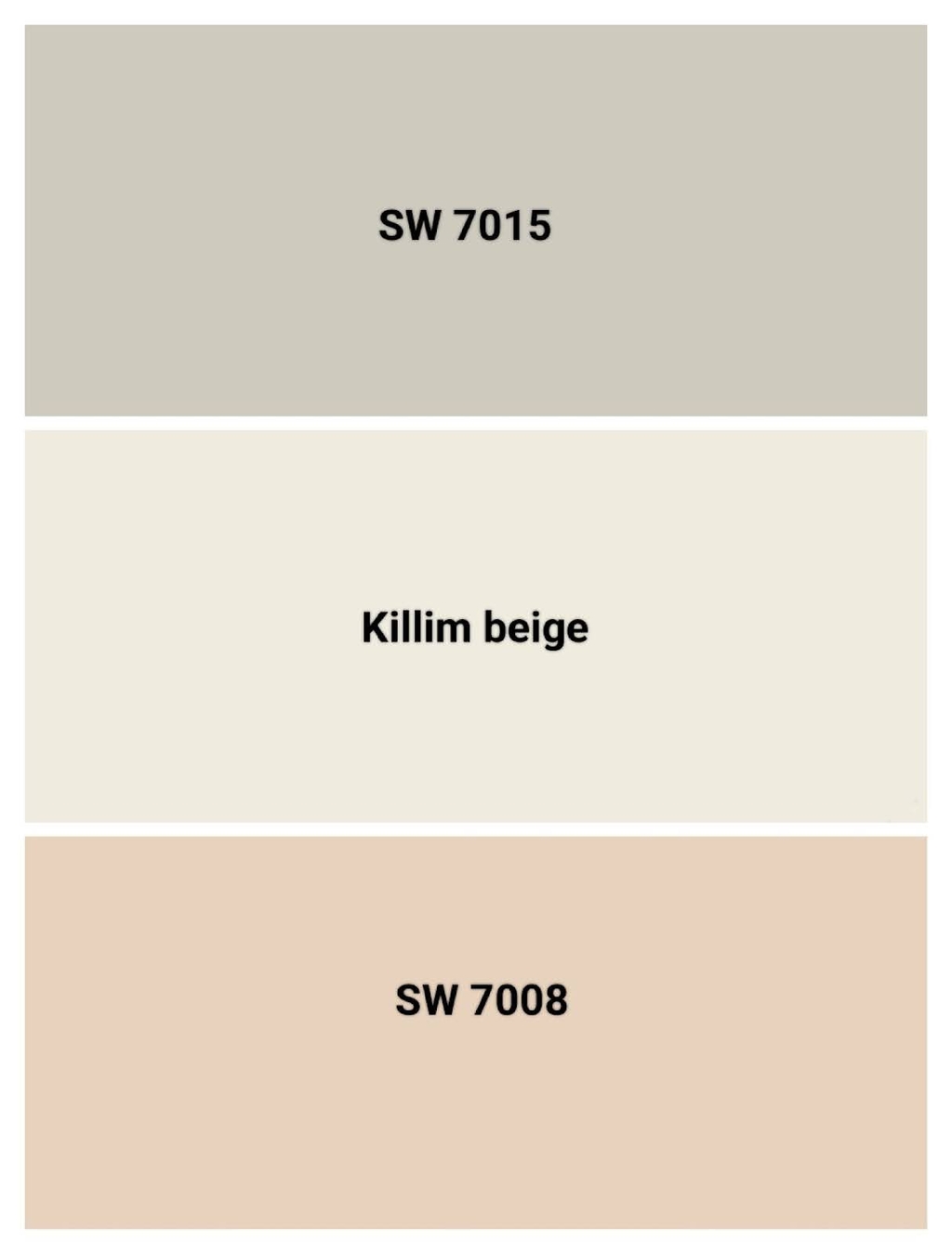 Modern Neutral Palette