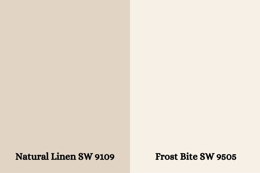 SW Frost Bite (SW 9505)