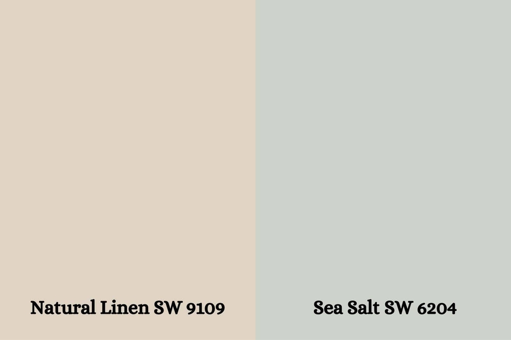 SW Sea Salt (SW 6204)