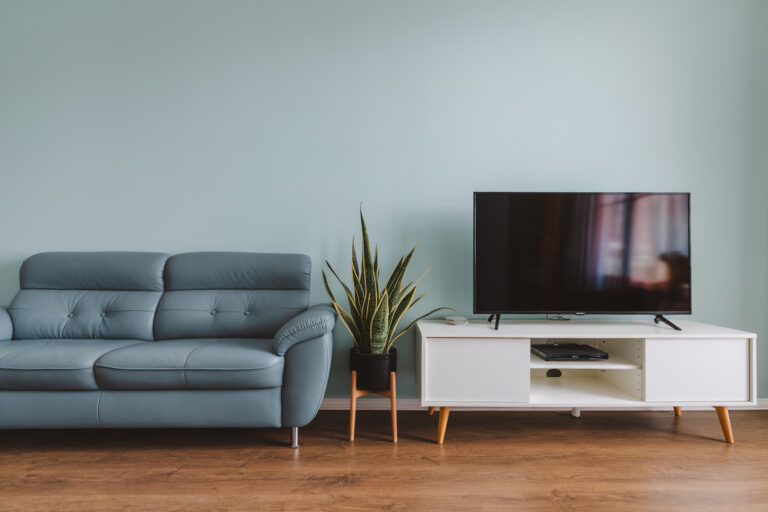 Best TV Stand Colors